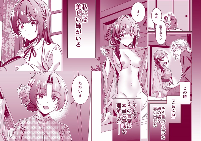 姉の代わりに嫁いだ私を孕ませて下さい ページ2
